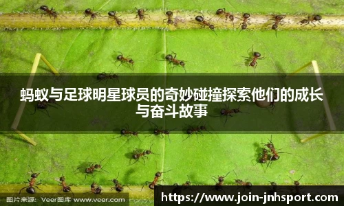 金年会官网